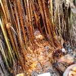The powerful spiritual native doctor in Nigeria 384747